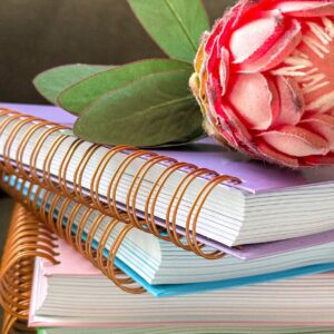Aurora Luxe 2026 Diary