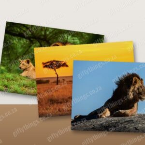 Photo Postcard Set (12)